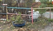 За клумбы и поделки из шин тулякам может грозить штраф