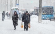 Погода в Туле 21 января: снегопад и сильный ветер