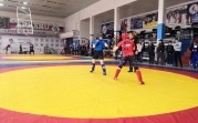 На чемпионате ЦФО по панкратиону команда Тульской области заняла третье место