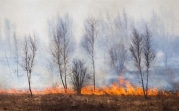 За неделю тульские пожарные уже более 150 раз выезжали на пал травы