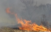 В четырех районах Тульской области сохраняется высокая степень пожароопасности