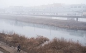 Погода в Тульской области 16 декабря: туманно, скользко, без осадков