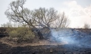 Во всех районах Тульской области установлен третий класс пожароопасности