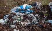 В Богородицке обнаружено несколько незаконных свалок