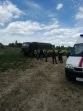 В Алексине водолазы нашли тела двух утонувших военнослужащих