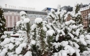 Погода в Тульской области 15 января: снег, гололед и ветер