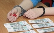 В Ефремовском районе директора детского лагеря осудят за аферу пятилетней давности