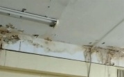 «Ужас, который встречает пациентов»: жители Новомосковска пожаловались на состояние поликлиники