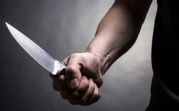 Поножовщина в Новомосковске: убийца проведёт в колонии 12 лет