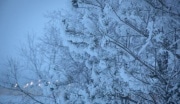 На новогодние каникулы туляков приглашает Куликово поле