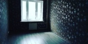 Тулякам не разрешат держать дома «черную вдову»