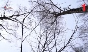 Туляков предупреждают об аномально низком атмосферном давлении
