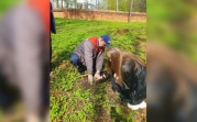 В Богородицке привели в порядок парк им. А.Т. Болотова