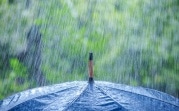 Выходные в Тульской области будут прохладными и дождливыми
