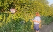 На карьере под Богородицком утонул подросток: прокуратура проводит проверку