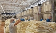 На Узловском молочном комбинате планируют поднять зарплату сотрудникам