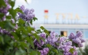 Погода в Туле 19 мая: до +25 градусов и небольшие дожди
