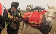 Сирийского шейха, который ведет Путину лошадь, обокрали в Тульской области