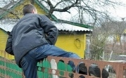 В Веневском районе поймали дачного вора