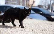 Погода в Туле 7 сентября: дождливо и до +15 градусов