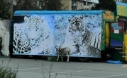 Прокуратура Новомосковска нашла нарушения в передвижном зоопарке