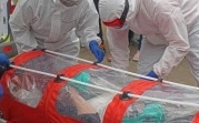 В Тульской области 59 новых случаев коронавируса
