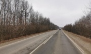 В Тульской области на дороге насмерть сбили женщину