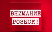 В Тульской области пропала 12-летняя девочка