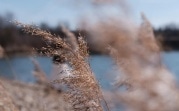 Погода в Туле 22 марта: облачность и умеренный ветер