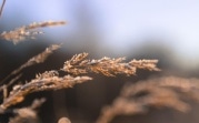Погода в Туле 4 сентября: осенние заморозки и северный ветер