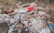 В Узловском районе возле дороги нашли свалку куриных тушек