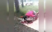 В Новомосковске пара при всех занялась сексом на пляже