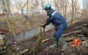 Туляков приглашают на общеобластной субботник
