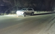В Донском автоледи на Kia сбила на трассе двух пешеходов