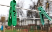 Погода в Туле 2 ноября: сыро и холодно