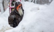 Какими будут осень и зима в Тульской области
