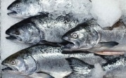 Роспотребнадзор снял с реализации в Тульской области более полутора тонн некачественной рыбы