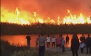 Тульские спасатели помогают тушить лесные пожары в Воронеже