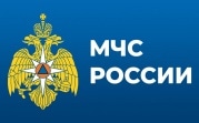 За неделю тульские спасатели помогли 17 заблудившимся грибникам