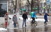 Эксперт о коронавирусе в России: «Основная часть регионов уже находится на плато»