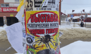 Сбежали в ночь перед проверкой: в Богородицке досрочно закрылся контактный зоопарк