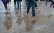 Погода в регионе 26 января: скользко, ветрено и слякотно