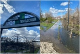 «Дикая вонь»: в Кимовске городской парк затопило канализацией