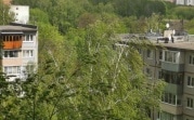 Метеопредупреждение: В Тульской области усилится ветер