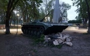 «Я хозяин, торг – у пушки»: в Тульской области на продажу выставили БМП