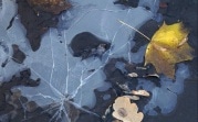 Погода в Тульской области 26 ноября: до -5 градусов, ветрено и без осадков