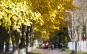 В регион придет третья волна бабьего лета