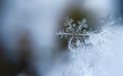 Погода в Тульской области 2 декабря: небольшой снег и легкий морозец