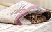 Погода в Тульской области 10 марта: низкое давление и сильный ветер