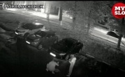 В Донском мужчина избил свою собаку